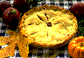 Desserts, candies, and sweet breads